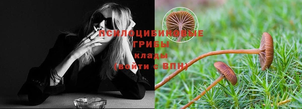 MESCALINE Алзамай