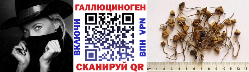 ссылка на мегу рабочий сайт  Тамбов  Галлюциногенные грибы ЛСД 