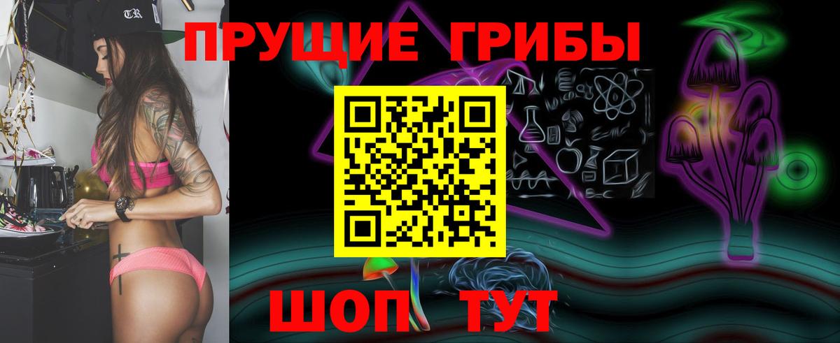 Галлюциногенные грибы GOLDEN TEACHER  Галлюциногенные грибы Magic Shrooms  Тамбов  Вход с VPN 